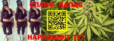 МДПВ Донецк
