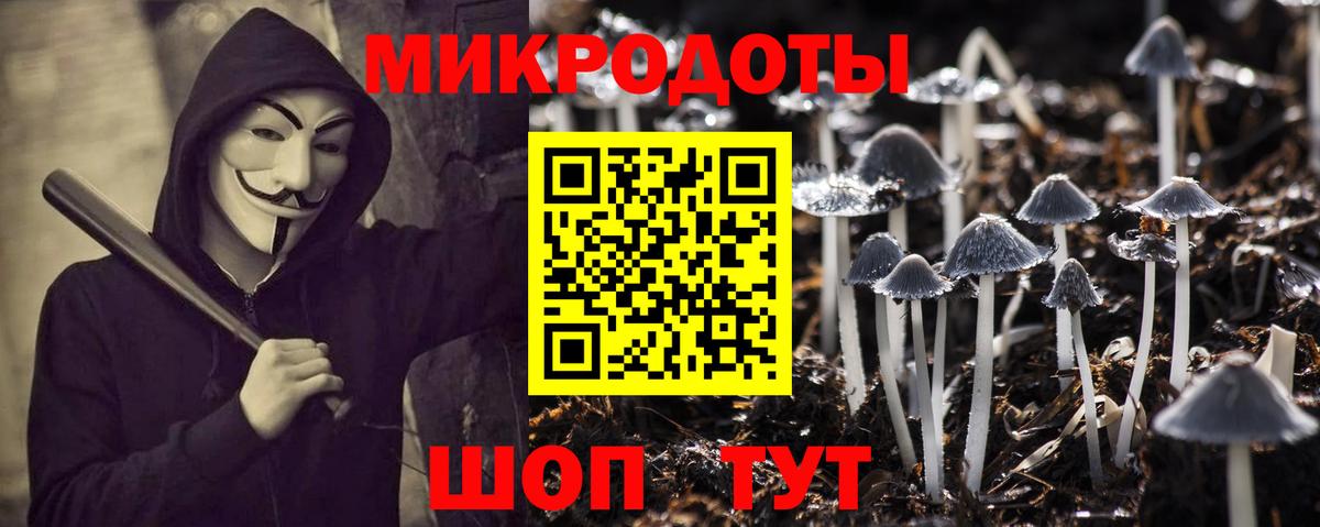Ленинск-Кузнецкий  Псилоцибиновые грибы прущие грибы  Вход с VPN 