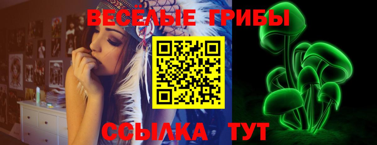 Галлюциногенные грибы Psilocybine cubensis Ленинск-Кузнецкий